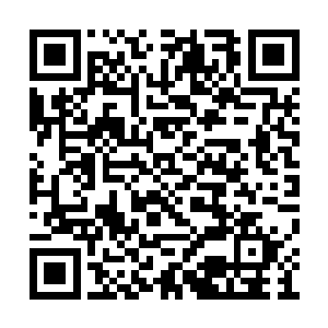 尽管这个晚生后辈是一个天赋耀古烁今绝世天才二维码生成