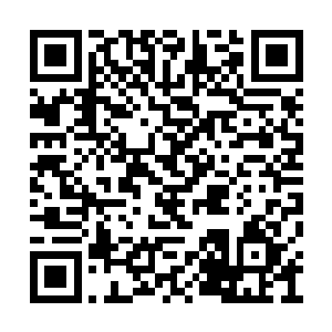 尽管这些怪物都因为兰斯神上的秩序枷锁的缘故二维码生成