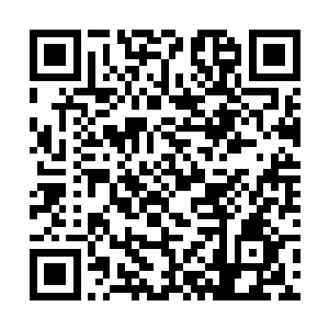 尽管那些个孩子因为嘲讽我都被他们父母给胖揍一顿二维码生成