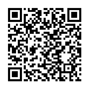 尽管那魔法护罩在这二级弓箭手的箭术面前毫无作用二维码生成