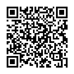 尽管阎家依靠阎家堡城的法阵威力和结丹期修士的防守二维码生成