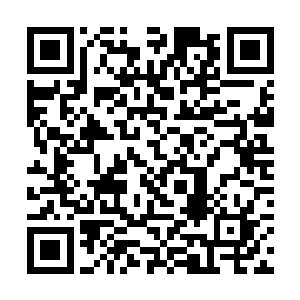 尽管雷天现在的身体强度已经相当于黄阶下品灵器了二维码生成