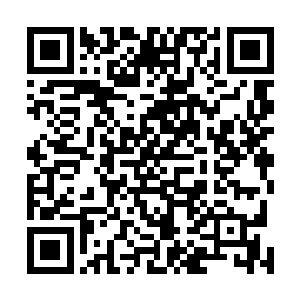 尽量想在自己的粉丝面前表现出平时那副成竹在胸的模样二维码生成