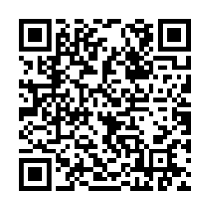 层出不穷的科技名词让电视机前的小脑瓜全力运转二维码生成