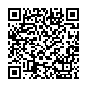 层层叠叠的缠绕在了那血色肥肠和紫色发辫之上二维码生成