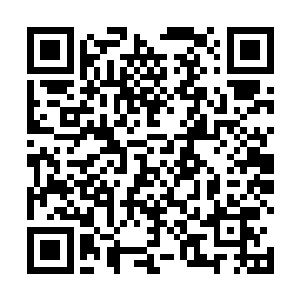 居然也能出现这么一个与厉昊空在武道上相抗衡的人物二维码生成
