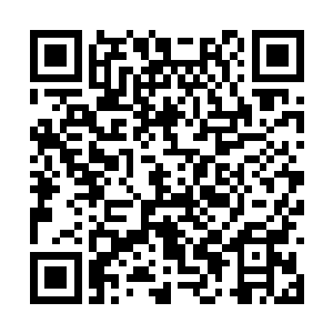 居然也跟着他一起过来的……也不知道是来看热闹二维码生成