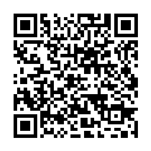 居然以虚境中期的实力能和虚境圆满的陌红雪抗衡二维码生成