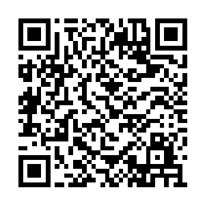 居然会被这个以往唯唯诺诺的臭小子给打出血了二维码生成