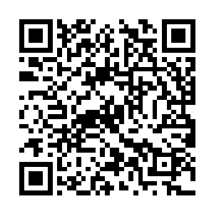 居然全都被那从提丰身上散发出来的血色光辉所阻二维码生成