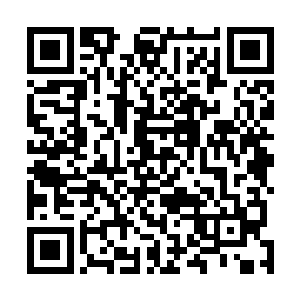 居然可以将自己的知识和一部分法则之力传给下一个巫师二维码生成