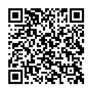 居然在蛇颈陆龟的尸体上面都产生了点点的火星二维码生成