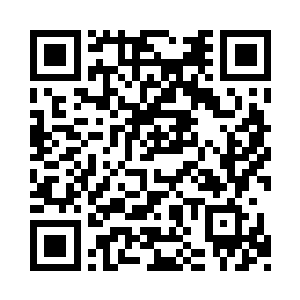 居然在诸葛红叶一口气吹出去之后……灭掉了二维码生成