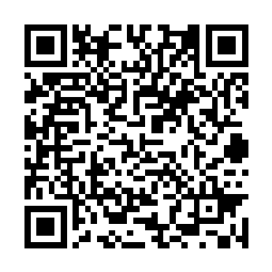 居然在这里遇到了阿德莱斯商团的那些低级雇佣兵二维码生成
