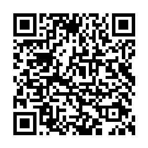 居然就制得保罗如同一只被绳子拴住的猴子似的二维码生成