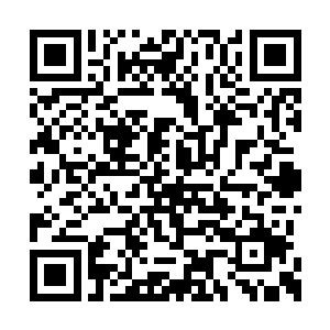 居然就是之前自己在潭水里看到的那个黑暗精灵二维码生成