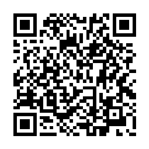 居然就是昨天与上官燕魅儿一起前往的欢乐世界二维码生成