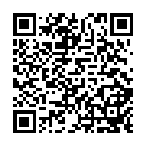 居然就有这么低端的盗贼把主意打到自己的领地身上来了二维码生成