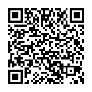 居然就直接失踪了……已经好几天没见不到人了二维码生成