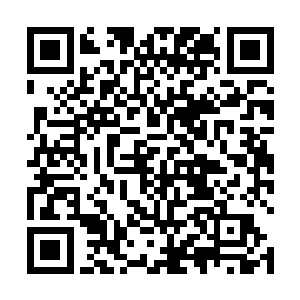 居然就这么奇迹般地坐在自己身前不过三米远的地方了二维码生成