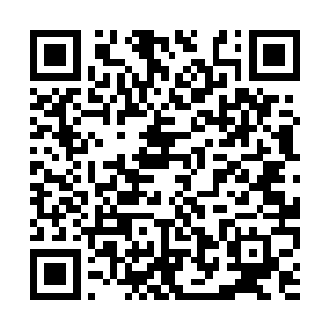 居然就这样抵御过了第九个阶段最后一轮紫金天雷二维码生成