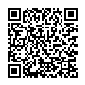 居然想出了利用内分泌的特殊化学物质传递信息二维码生成