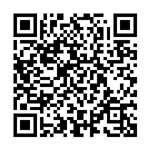 居然想要像蛇吞象一样直接将全世界都给吞进自己的肚子里面二维码生成