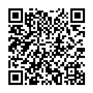 居然意外的引动了识海中九道玄黄天道传承气息的变化二维码生成