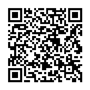 居然把眼前这些都已经相当老旧的小楼当皇宫似的二维码生成