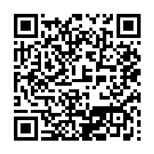 居然把这俩老病鬼凑一块儿了……这下可有好戏看了二维码生成