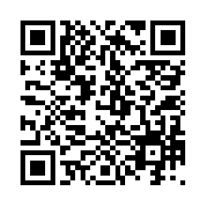 居然拿出这么多珍贵的物品进行拍卖二维码生成