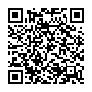 居然捡起来一件红色的看起来还比较喜庆的女士嫁衣二维码生成