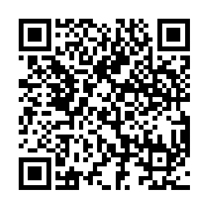 居然是也不知道从哪里捡来的一柄秦军兵俑使用的石矛二维码生成
