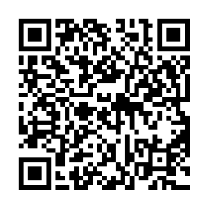 居然是叶莫从一垂不朽到九垂不朽所遭遇到的不朽锤炼二维码生成