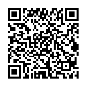 居然是被完全的凝聚在了这个方圆几百丈的巨大尸球当中二维码生成