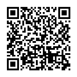 居然用灭神针和破府锥想要毁掉我们龙族的天才二维码生成
