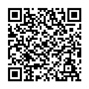 居然直接使用一个手掌就能将铁拳沈福打成这样二维码生成