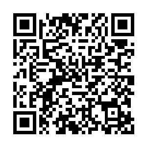 居然知道我教功法中最隐秘的万相变形术之真谛二维码生成