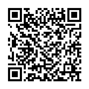 居然硬生生的从傀儡身上抓出来一个微小的小人二维码生成