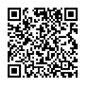 居然能够劳师动众的让这些西方的吸血鬼来这么多人二维码生成