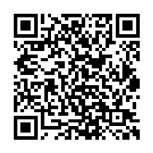 居然能够将一个人变成一个拥有皇族血脉的僵尸二维码生成