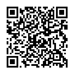 居然能够随随便便请出一名地级五品左右的修士来参加战斗二维码生成