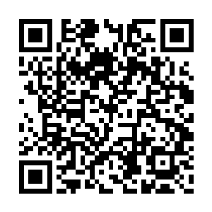 居然能让武者的体内结出类似于妖兽内丹的存在二维码生成