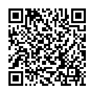 居然要让一个真元境都没有达到的武者受你一拳二维码生成