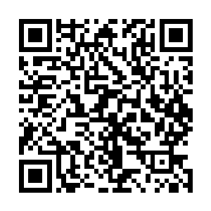居然让那个狼崽子背着人跑进了草原……就算他会死在里面二维码生成