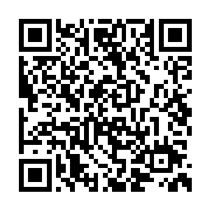 居然轻轻松松的击杀了我们巨鲸帮堂主级的高手二维码生成