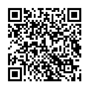 居然还出现了一大团一大团正在不停浓缩成为了武器的浓雾二维码生成