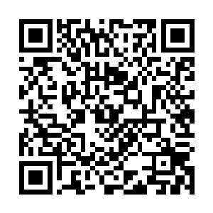 居然还有一个重伤的至尊境强者……他的实力足够强大二维码生成