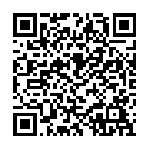居然还有不知在地底埋藏了多少岁月的蛋孵化过二维码生成