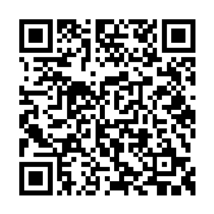 居然还有偷天借寿境强者短时间内打不开的威力二维码生成